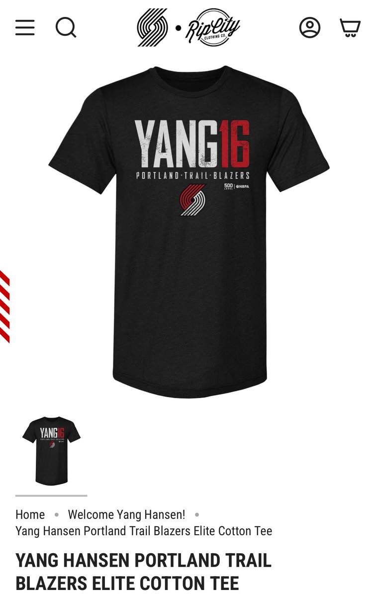 PinwheelEmpire's tweet image. New Hansen merch just dropped! For sure buying the jersey and shattered backboard shirt!🔥
#RipCity