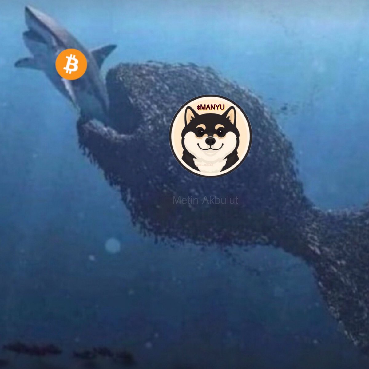$MANYU your token!