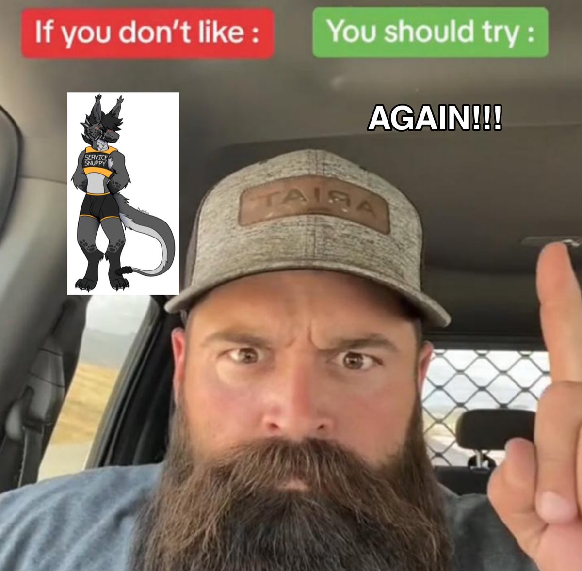 EllisSnuppy's tweet image. 