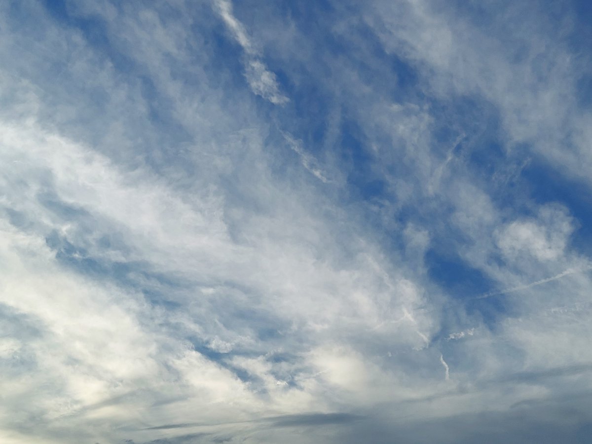 PanicMike13's tweet image. My view today. Western Massachusetts