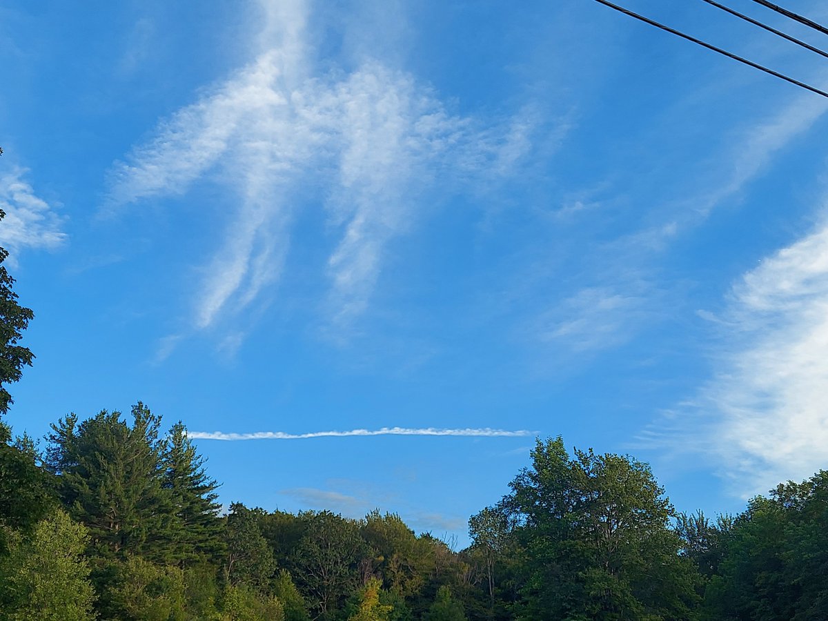PanicMike13's tweet image. My view today. Western Massachusetts