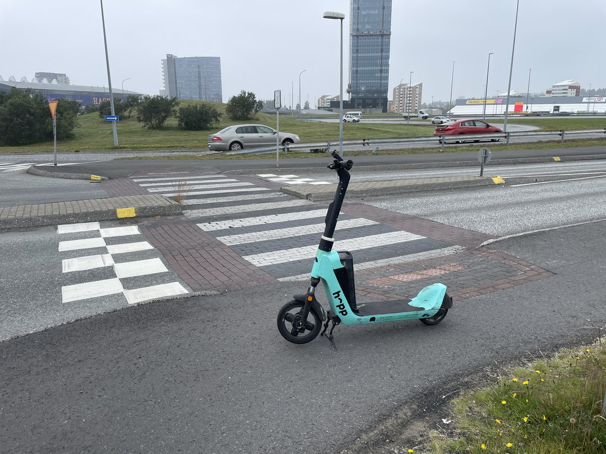 Verst lagða rafskútan (@verstlagda) on Twitter photo 