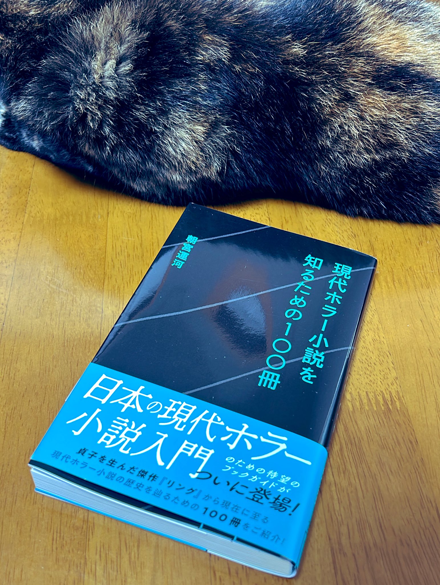 猫蟲 on X: 