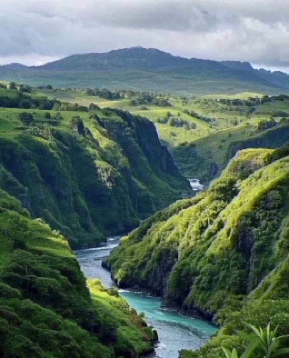 Өдрийн мэнд ээ.