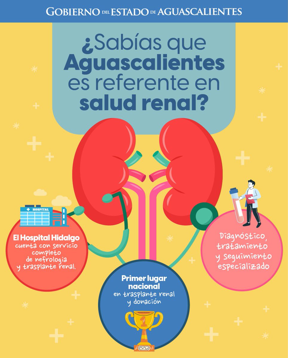 TereJimenezE's tweet image. AGUASCALIENTES ES REFERENTE NACIONAL EN SALUD RENAL ✨
El Hospital Hidalgo cuenta con un servicio integral de nefrología y trasplante renal, que ofrece atención especializada de primer nivel.
Además, la entidad ocupa el primer lugar a nivel nacional en trasplante y donación,…