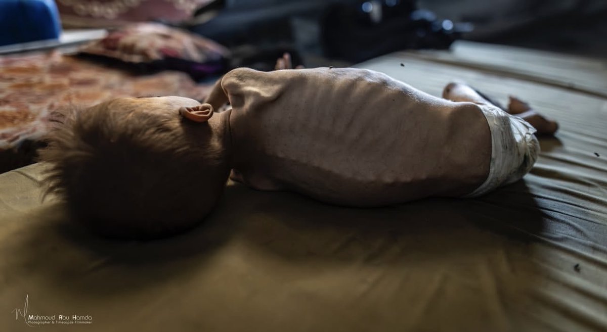 En el futuro —de haberlo—, todo lo bello y bueno que podamos haber hecho en este tiempo quedará opacado por el horror que el Estado de Israel perpetró, y no conseguimos frenar a tiempo, en Gaza.
