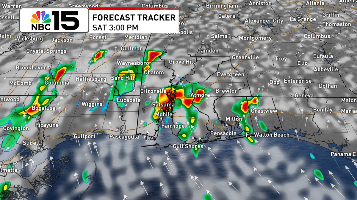 Kelly_WPMI's tweet image. Sct'rd storms Saturday with seasonal heat, then mostly dry skies and building heat by Sunday. At the beach, yellow flags are projected to fly this weekend. @mynbc15
mynbc15.com/weather