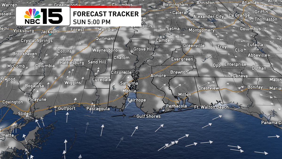 Kelly_WPMI's tweet image. Sct'rd storms Saturday with seasonal heat, then mostly dry skies and building heat by Sunday. At the beach, yellow flags are projected to fly this weekend. @mynbc15
mynbc15.com/weather
