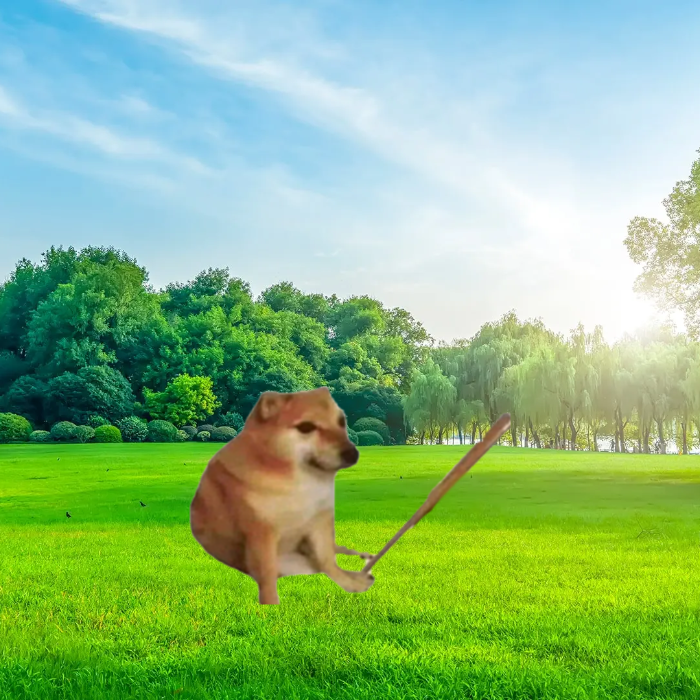 landcoinsol's tweet photo. lets bonk on my $LAND

@bonkfun u down? https://t.co/XVy1smjvsM