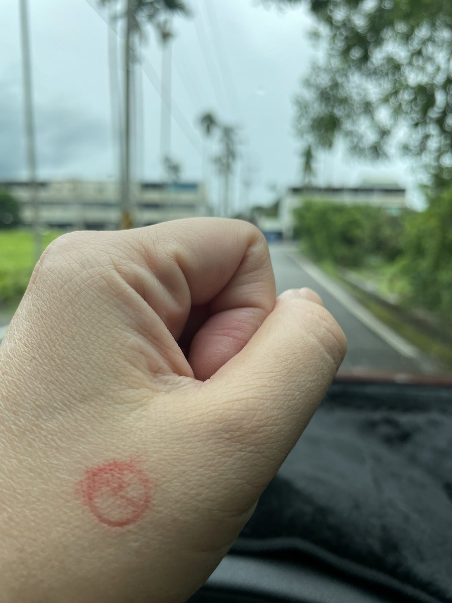 rewoIf's tweet image. 行使完公民的罷免權了

目前小雨

#花蓮