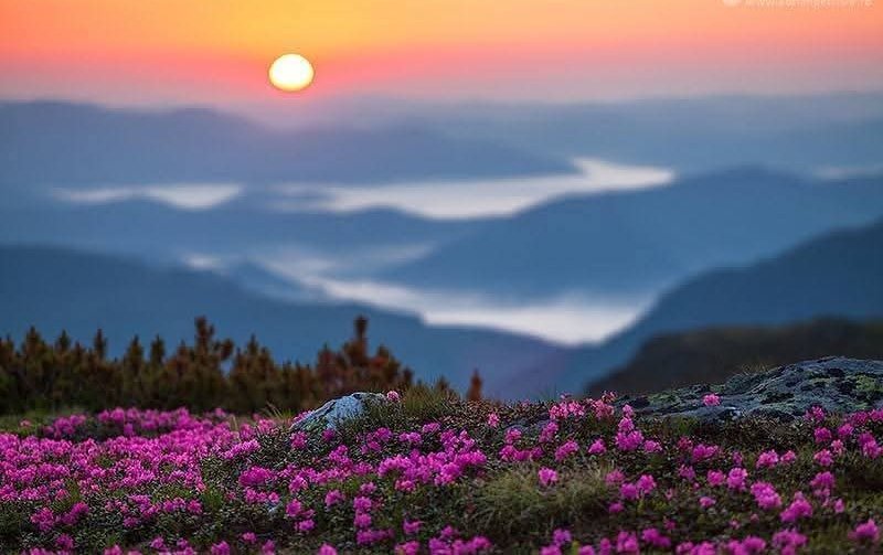 xyzwtf_55's tweet image. Good morning everyone 😊
#photography
#photographer
#mountains 🇷🇴