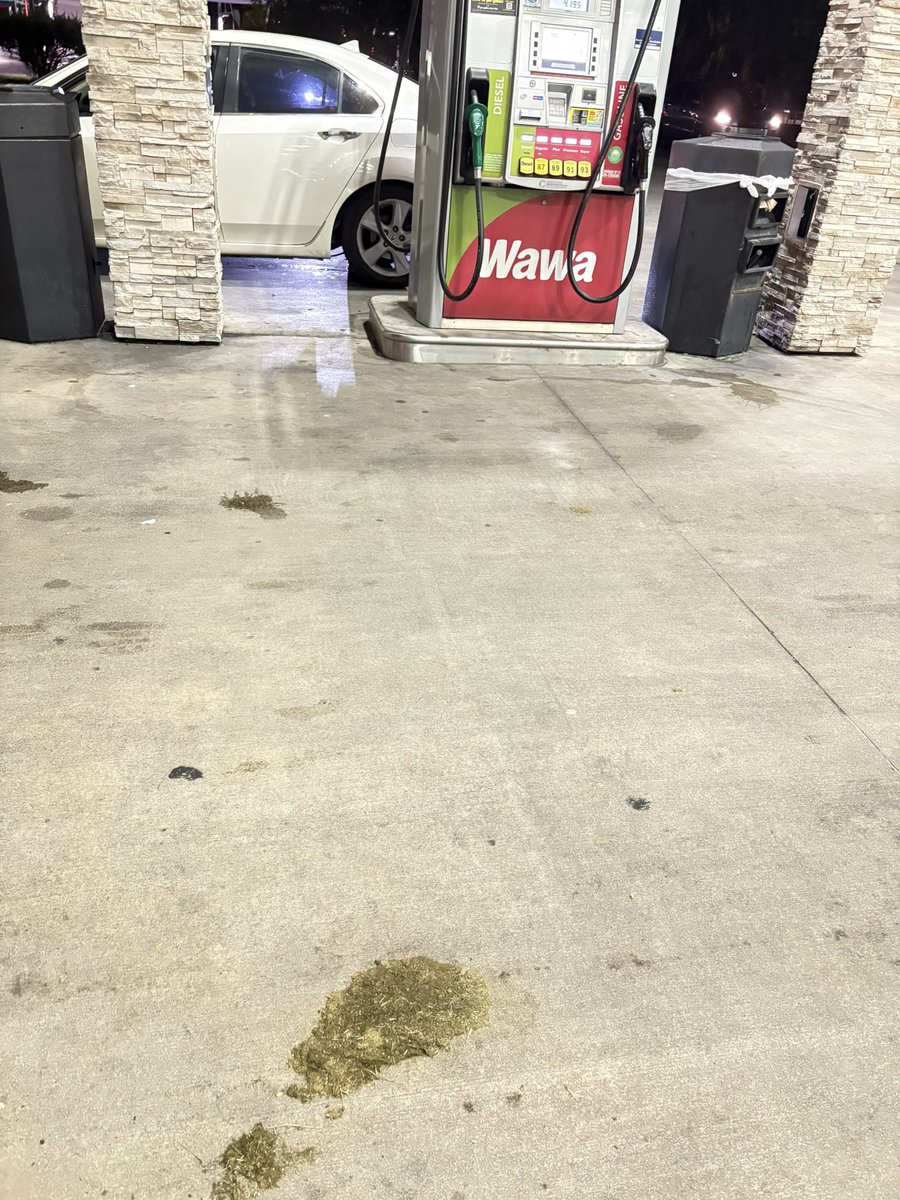 twoheadedty's tweet image. horse dung at the gas station?