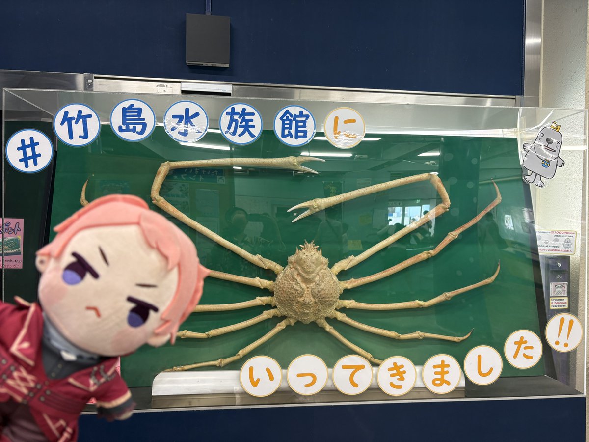 kaoru_kuroneko's tweet image. 友達遊びに来たから探索してる🫶