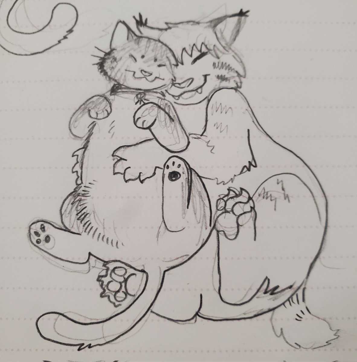 HSB_Lucky's tweet image. Me and my housecat boyfriend