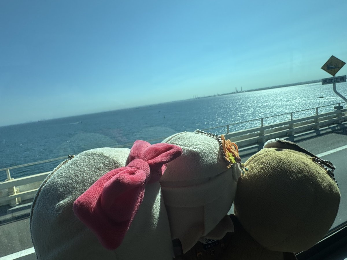 onasu19730801's tweet image. 上陸🤣
🍡🍊🦉)海ですわ。ウミダ〜
🍡🍊)ちょっと押さないでくださいます。
🦉)ショウガナイダロウ👀
#いずみんといっしょ
#まひろウといっしょ
#千葉県
