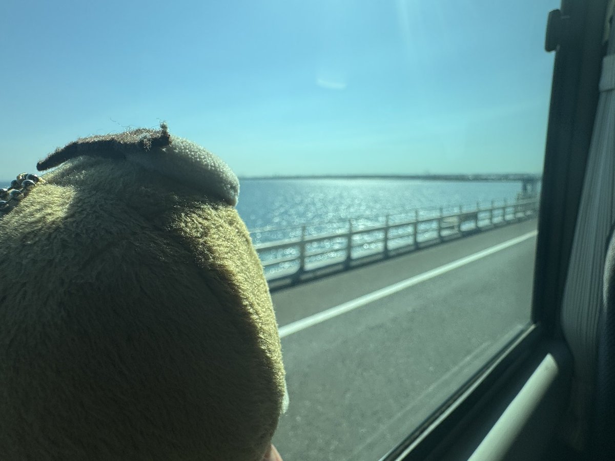 onasu19730801's tweet image. 上陸🤣
🍡🍊🦉)海ですわ。ウミダ〜
🍡🍊)ちょっと押さないでくださいます。
🦉)ショウガナイダロウ👀
#いずみんといっしょ
#まひろウといっしょ
#千葉県