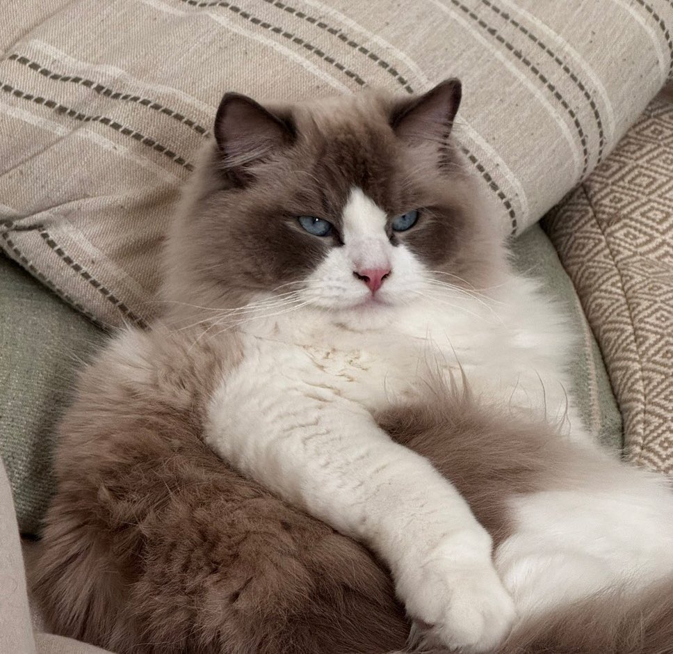 I’ve expressed some open interest in cryptocurrencies