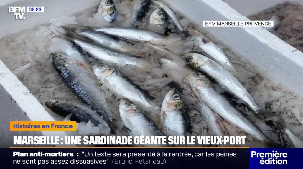 Mediasinfos's tweet image. A Marseille, une sardinade géante a été organisée hier soir sur le Vieux-Port. Regardez le reportage de BFM TV sur notre site ici: mediasinfosblog.wordpress.com/2025/07/25/a-m…