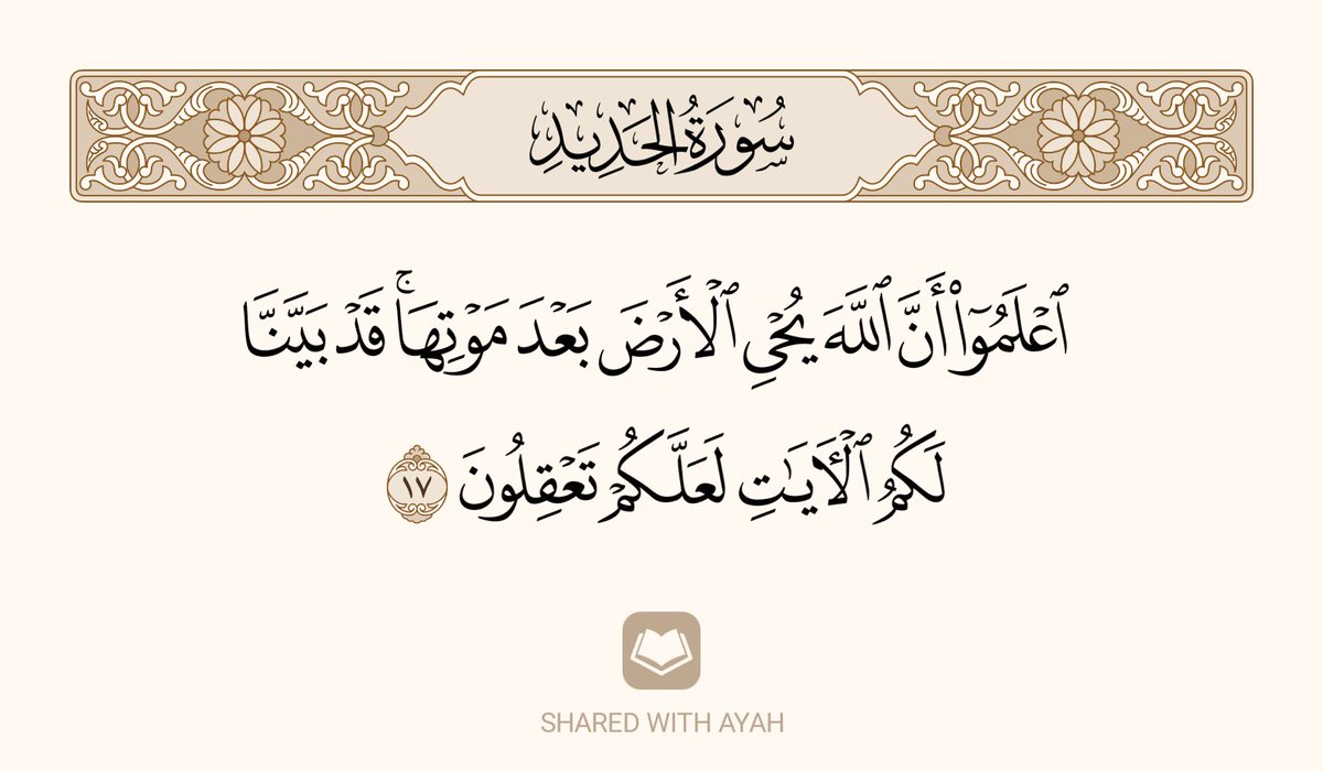 Hakeemfederer's tweet photo. https://t.co/M8aL9VITrN