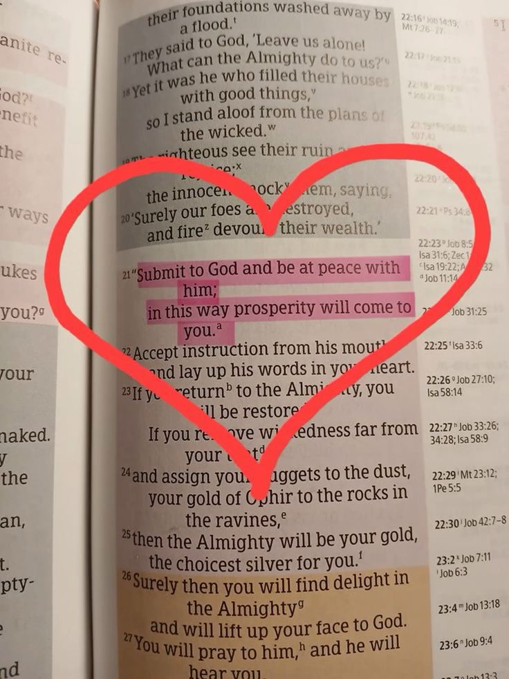 Holy Bible (@holy__bible1) on Twitter photo 