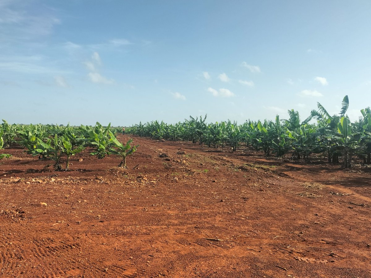 Partido Comunista de Cuba (@partidopcc) on Twitter photo La avileña empresa La #Cuba es un ejemplo de cuánto se puede hacer en los momentos difíciles que atraviesa el país para incrementar producciones y rendimientos. Así lo constataron <a href="/DiazCanelB/">Miguel Díaz-Canel Bermúdez</a> y <a href="/DrRobertoMOjeda/">Dr. Roberto Morales Ojeda</a> durante un recorrido por sus áreas. #LaLuchaNoHaCesado La avileña empresa La #Cuba es un ejemplo de cuánto se puede hacer en los momentos difíciles que atraviesa el país para incrementar producciones y rendimientos. Así lo constataron <a href="/DiazCanelB/">Miguel Díaz-Canel Bermúdez</a> y <a href="/DrRobertoMOjeda/">Dr. Roberto Morales Ojeda</a> durante un recorrido por sus áreas. #LaLuchaNoHaCesado