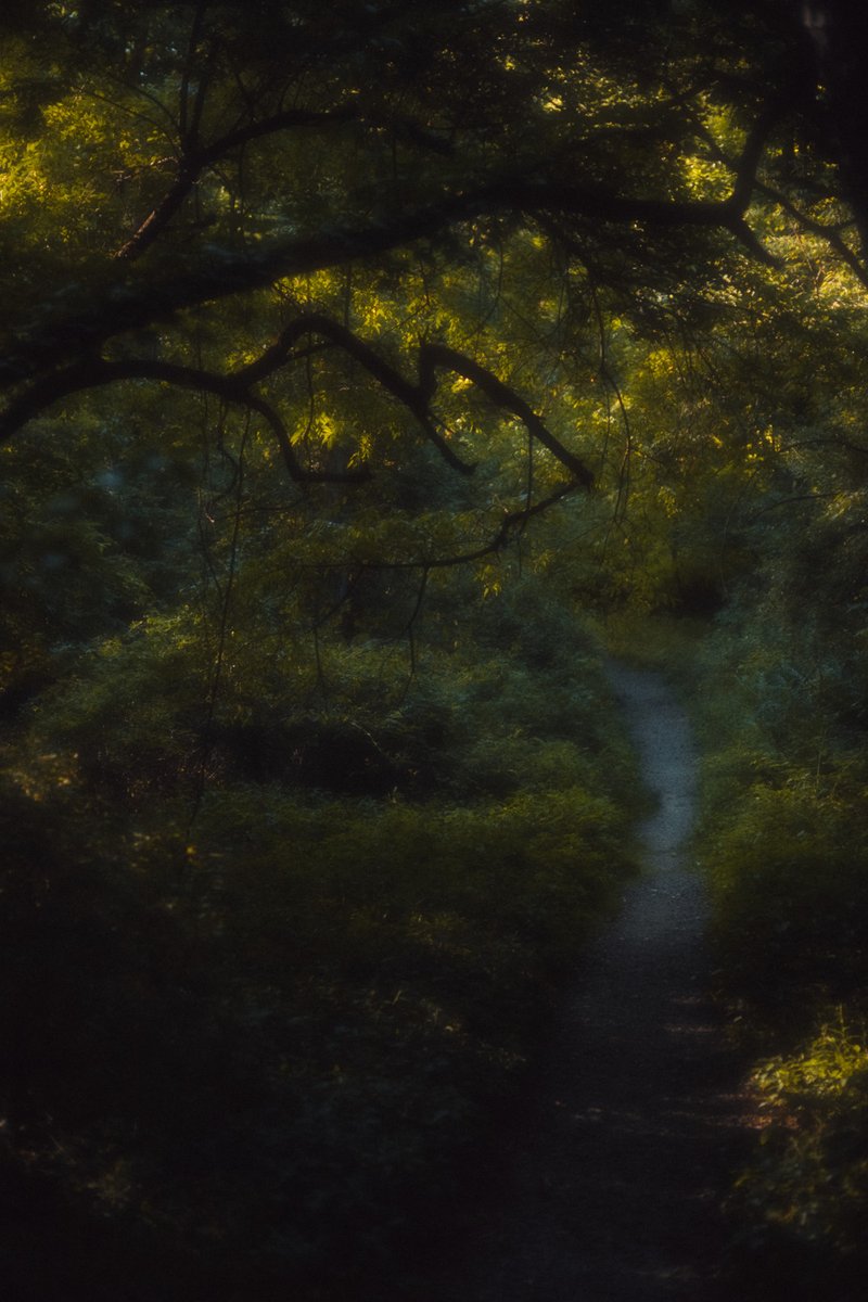 ᒔᓺᕣᕈᖺᓷᖺᕿᖚ