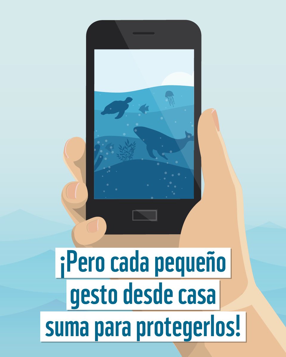Tweet media two