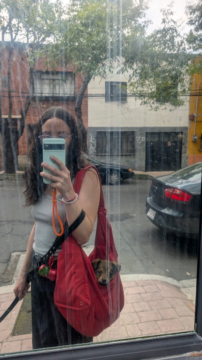 Gente:

Yo tuve la fortuna de recibir como hogar temporal a uno de estos bebés el día de hoy.

Son la cosa más bella y necesitan nuestra ayuda.

Por favor consideren recibirles, si les es posible.

♥️♥️♥️