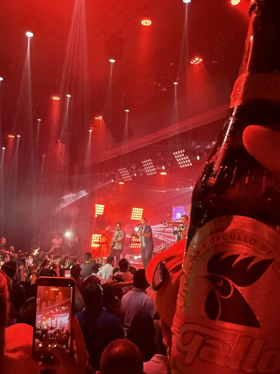 Ana Lyli tweet media