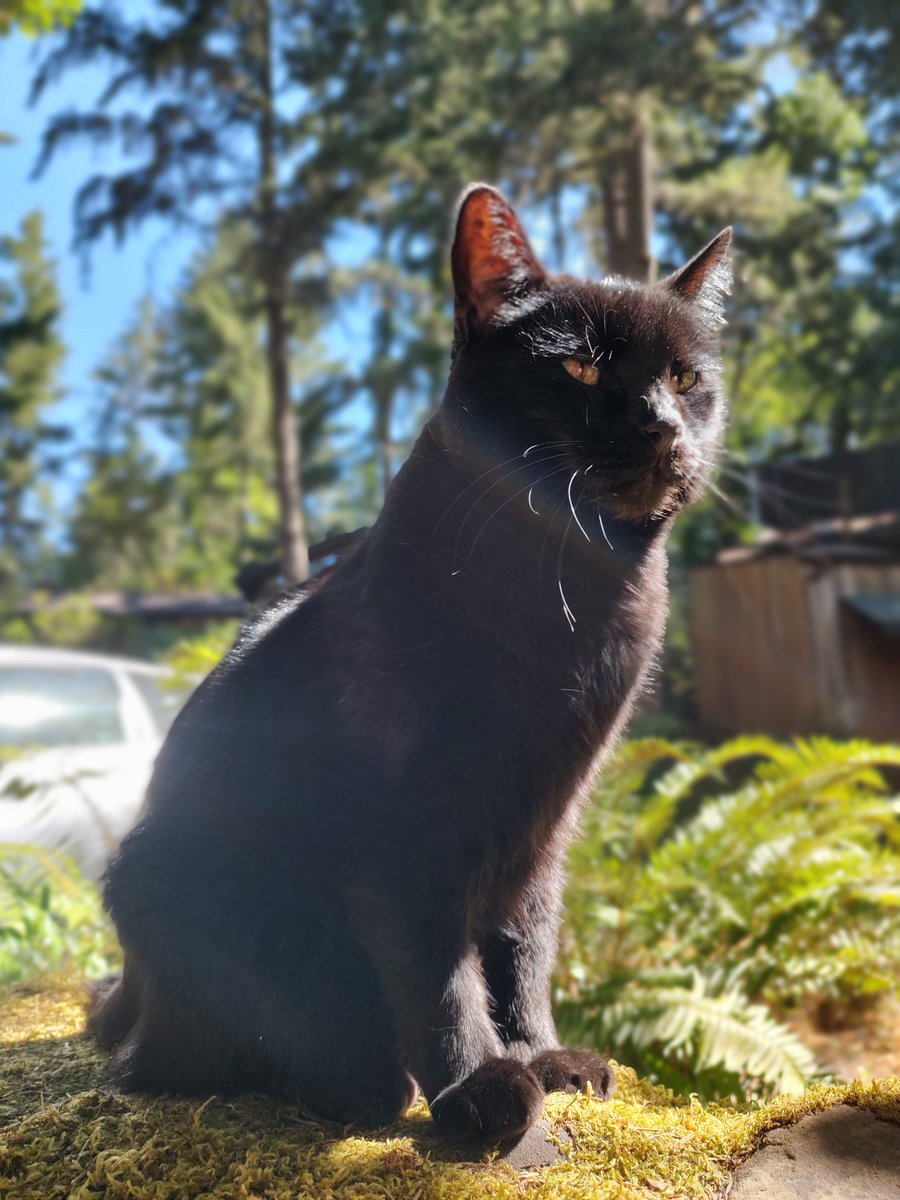 shapesandlines's tweet image. I&apos;ve been abducted and I&apos;m being forced to go to a winery.  Here&apos;s a picture of Bean