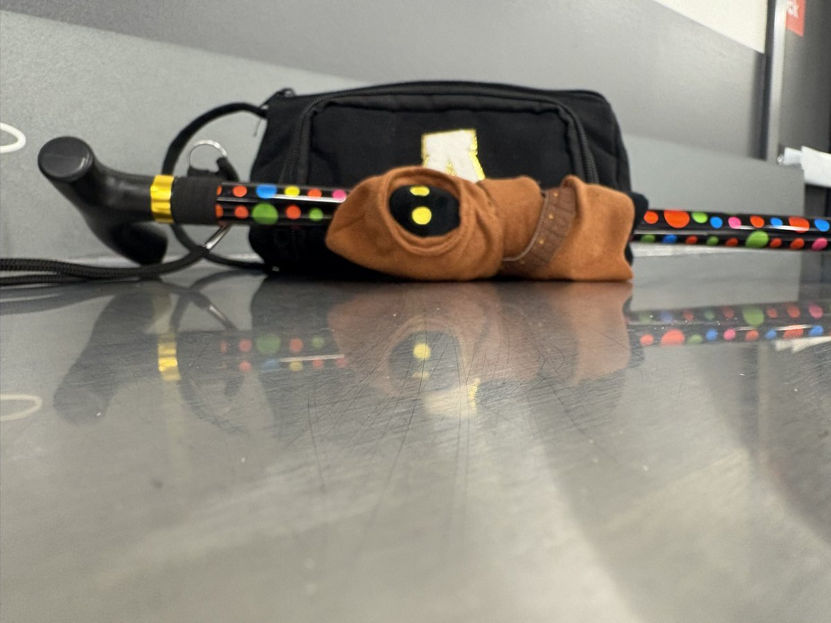 Spoonie life. Your cane absolutely goes with your outfit! #DisabilityPrideMonth #Invisibledisability #DDD #ChronicPain