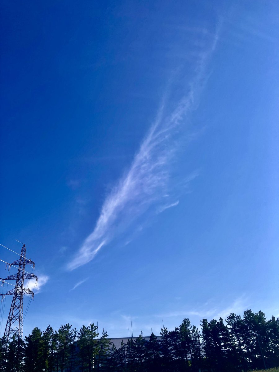 tamon_farm's tweet image. 白龍🐉✨✨✨🙏