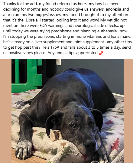 badpetmeds's tweet photo. #SayNoToLibrela #Librela https://t.co/TK4P55k5X6