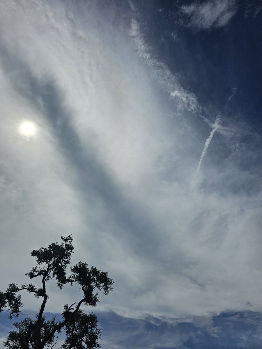 When did this white blanket blocking the sun become a normal thing in the sky? Especially in Florida? Its not. Its from manipulating our skies.