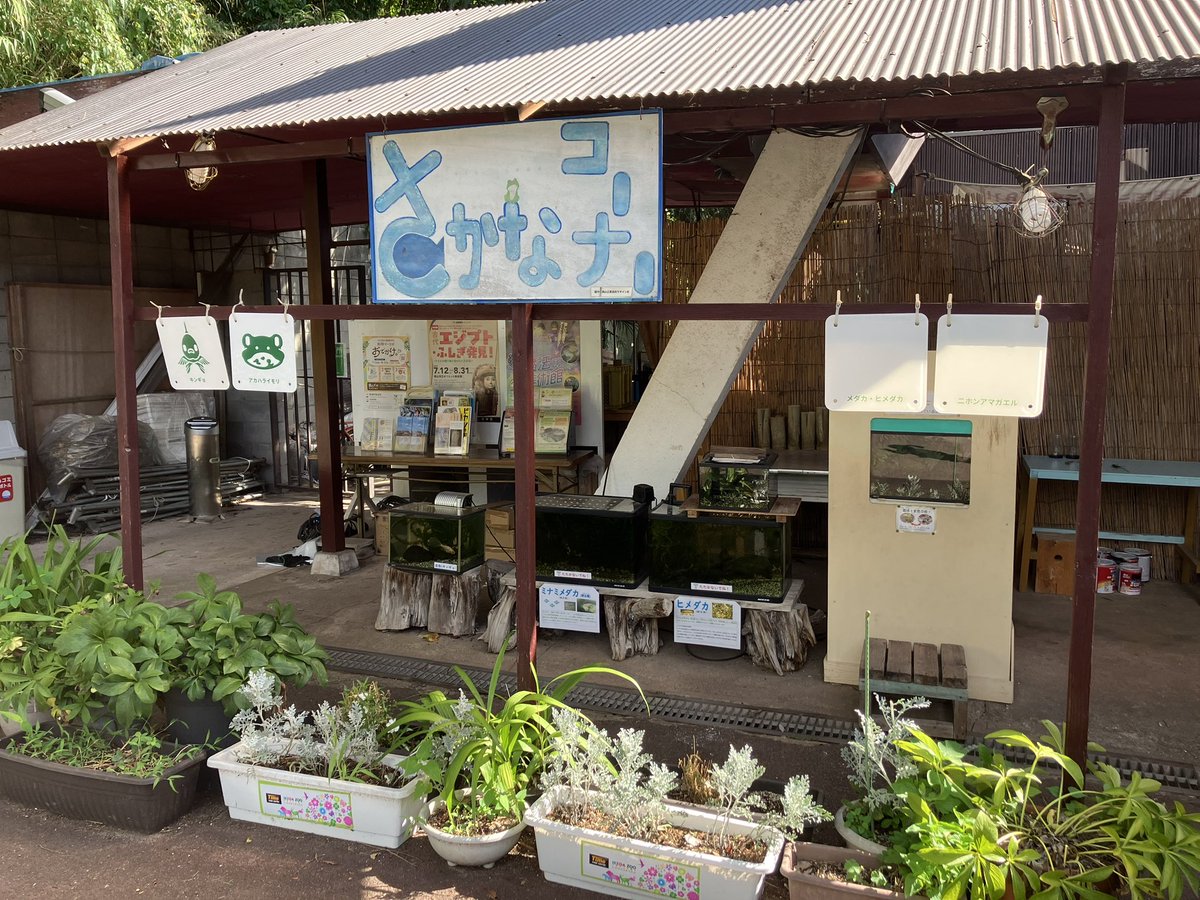 LOVE_IKEDAZOO's tweet image. お分かりいただけただろうか

#池田動物園