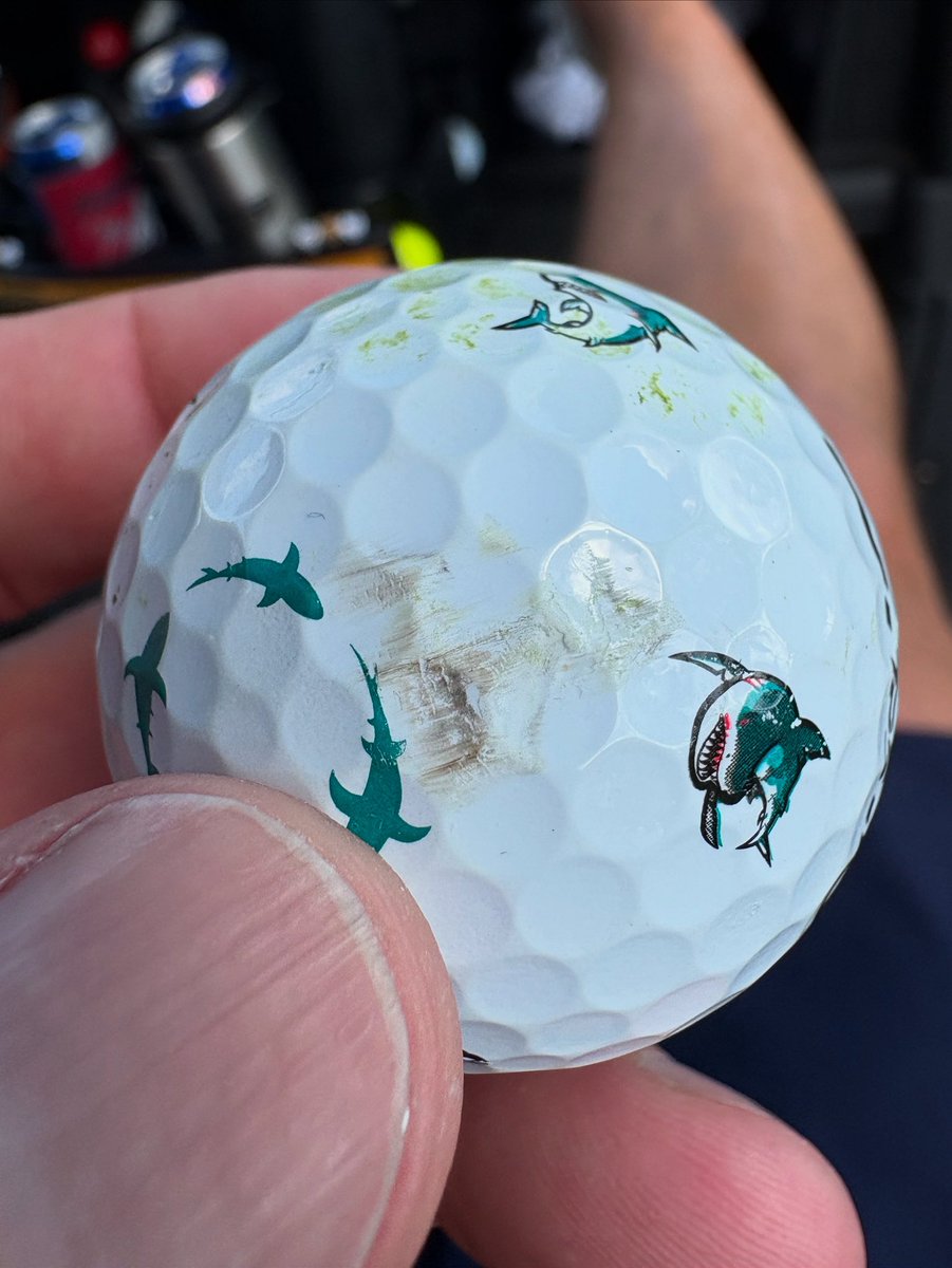 Chad Rodgers tweet media