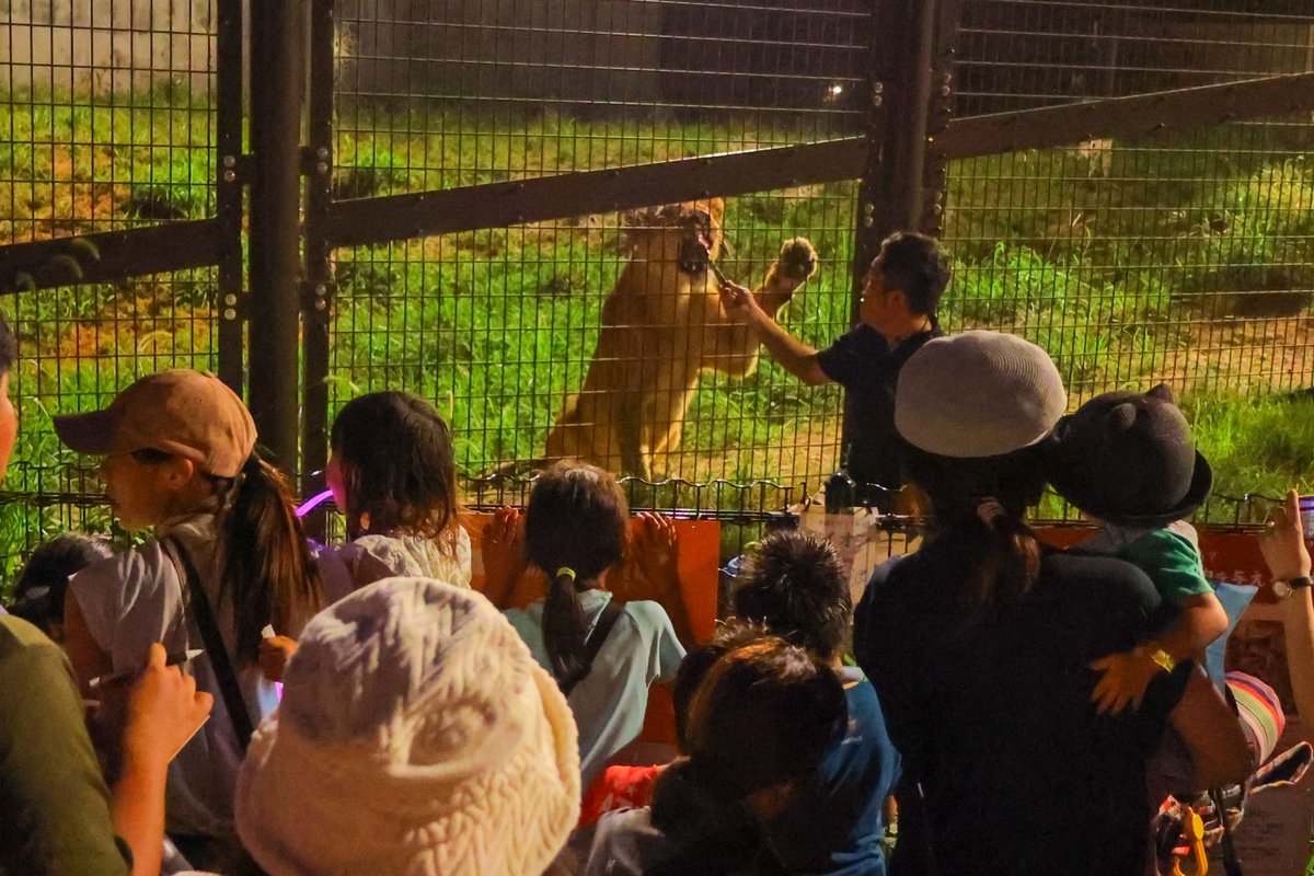 non_hoi_park's tweet image. 本日、7月26日(土)はナイトZOO開催日です。午後5時から午後9時まで。昼の入園から引き続き参加される方は午後4時までに一度退園し、再度の入園と別途料金が必要です。
飼育員による動物ガイドは見どころの一つ!
nonhoi.jp/event/p13641/ #のんほいパーク #豊橋総合動植物公園 #ナイトZOO