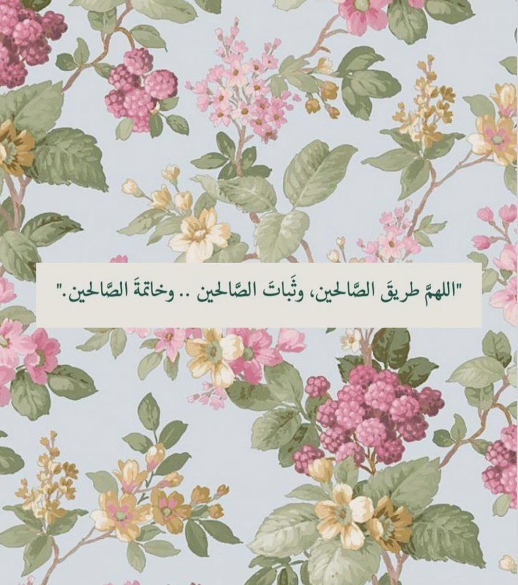klm_b1's tweet image. 