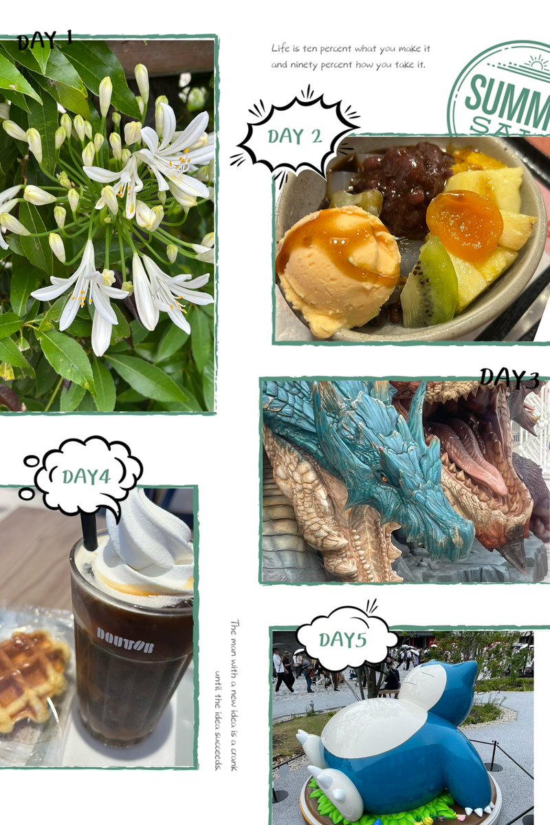 niu550's tweet image. *
2025 07
26日 土曜日 晴れ☀️☀️☁️
*
おはよう ございます☀️
ポツダム宣言記念日 日光の日
夏風呂の日 幽霊の日 👻 etc
*
とうとう7月 最後の 週末
深呼吸して 自分のペースで🍀*゜
*
いつも ありがとうございます🌹
台風も 熱中症も 気を付けて
安全に 穏やかな週末を*⋆✈︎…