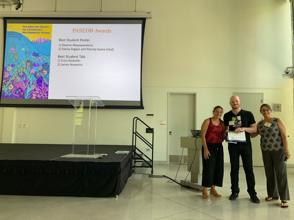 EvoDevoPanAm's tweet image. 2nd Best Student Talk award is for James Nowotny from @UofMaryland @UMDscience Congrats!
Identifying cell dedifferentiation process of annelid regeneration process
#PASEDB2025 #worms #regeneration