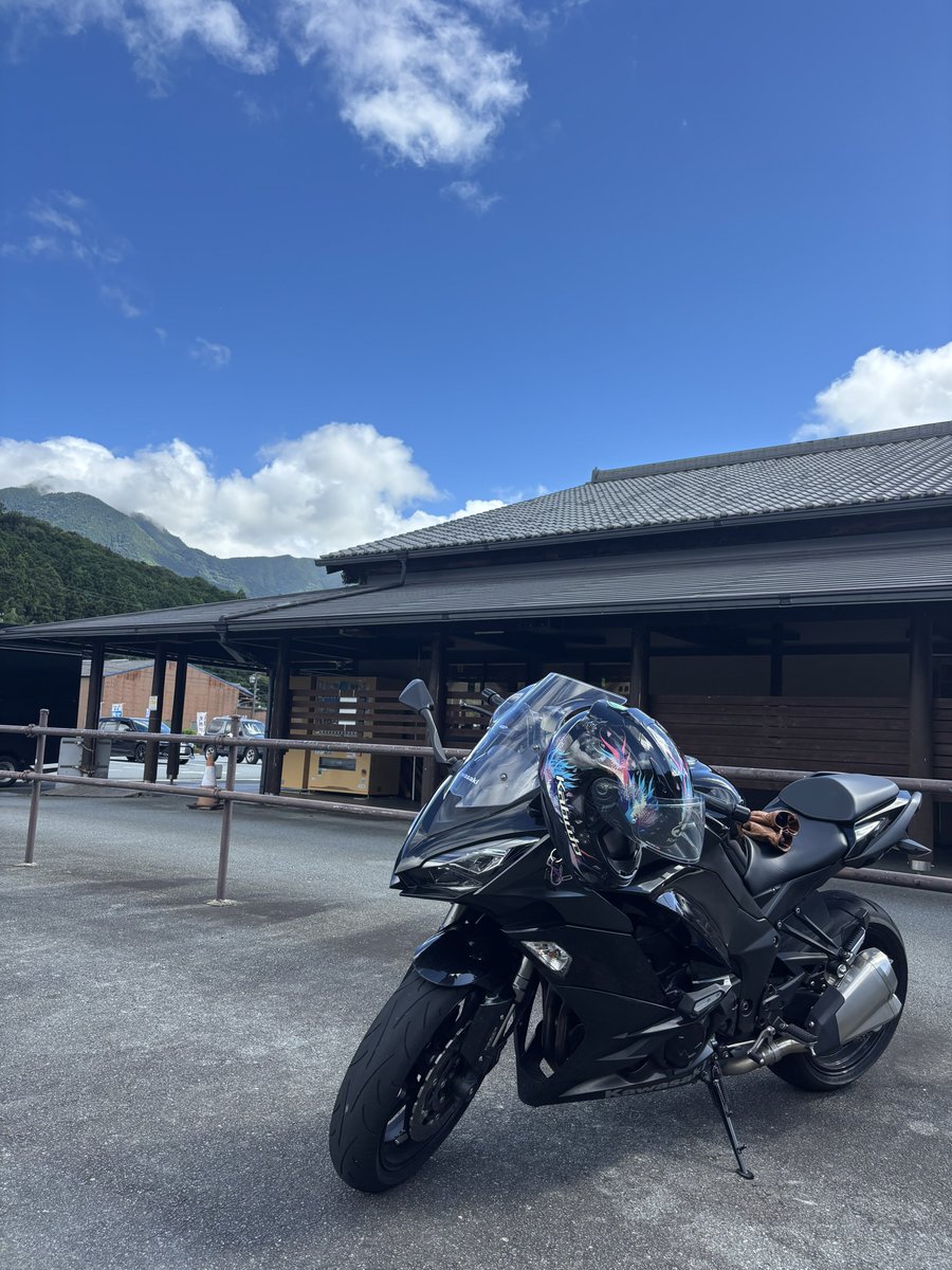 みーたんスイレン 楽天市場】【29日20時開始!最大7,000円引きクーポン