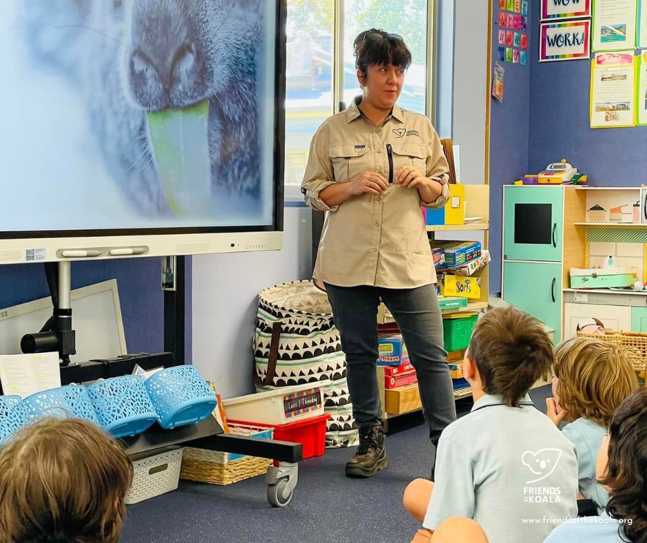 Friends_Koala's tweet image. π¨ We're heading to Byron Bay High on Monday for some koala conservation education!
Year 10s will learn about koala threats, urban pressures & how they can help. π±
Last year, they planted 20 koala treesβreal impact! π
#KoalaCare #KoalaEducation #ByronBay