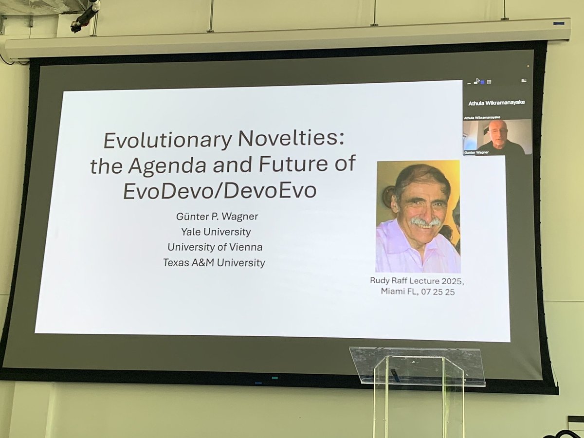 EvoDevoPanAm's tweet image. Günter P. Wagner has received Rudy Raff Pioneers Award
Enormous contribution to the evodevo field conceptually and experimentally. Congratulations!! Introduced by Karen Crow
#PASEDB2025 #RudyRaff #Pioneeraward #evodevoconcepts