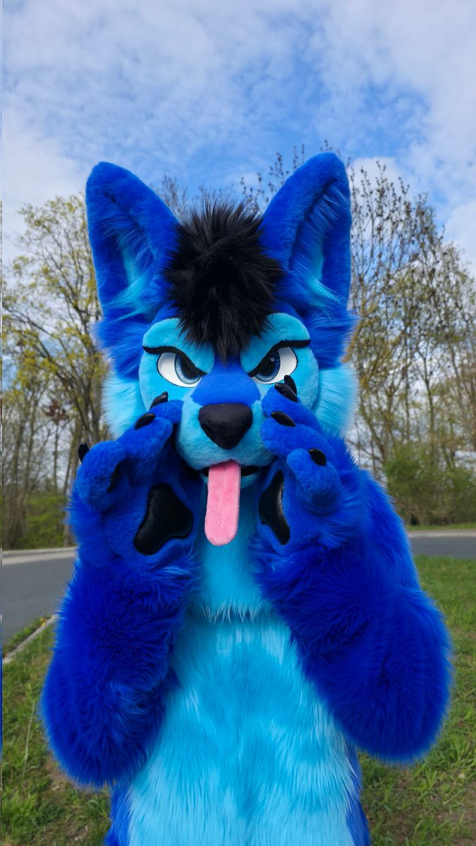 Whitewing Creations (@whitewingsuits) on Twitter photo Noch ein verspäteter #FursuitFriday zum schmunzeln wie Frech so ein blauer Wolf <a href="/LonelyWolf37007/">Floofy The Wuff</a> sein kann 😅
Habt spaß daran aus der Fotoserie "viel zu schade um dieses cute Foto verstauben zu lassen" 😊
#Furryfandom #furries #furry #fursuiting #Wolf #Ilovemyjob Noch ein verspäteter #FursuitFriday zum schmunzeln wie Frech so ein blauer Wolf <a href="/LonelyWolf37007/">Floofy The Wuff</a> sein kann 😅
Habt spaß daran aus der Fotoserie "viel zu schade um dieses cute Foto verstauben zu lassen" 😊
#Furryfandom #furries #furry #fursuiting #Wolf #Ilovemyjob