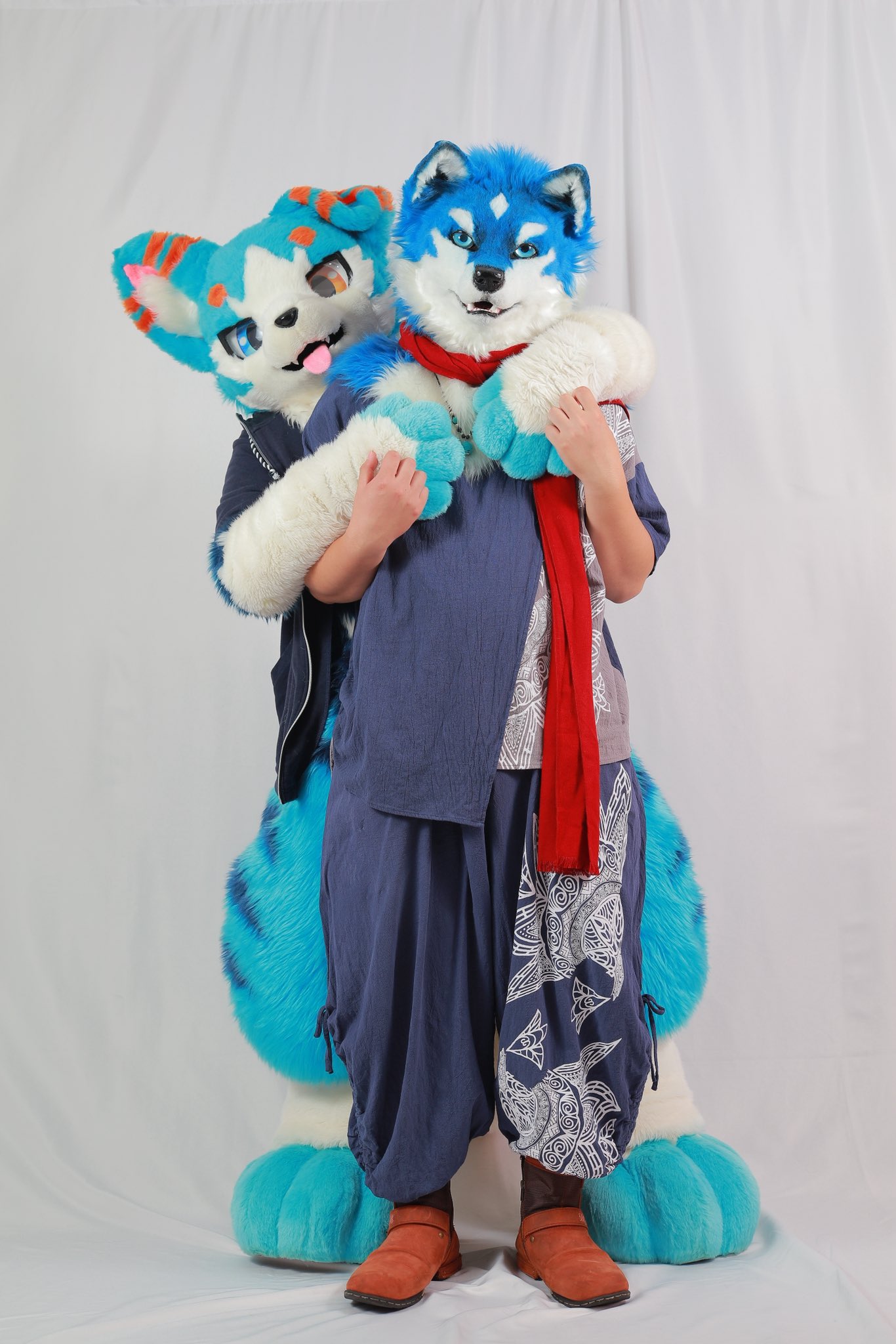🇯🇵Haruku JMoF2026→？？？ on X: 