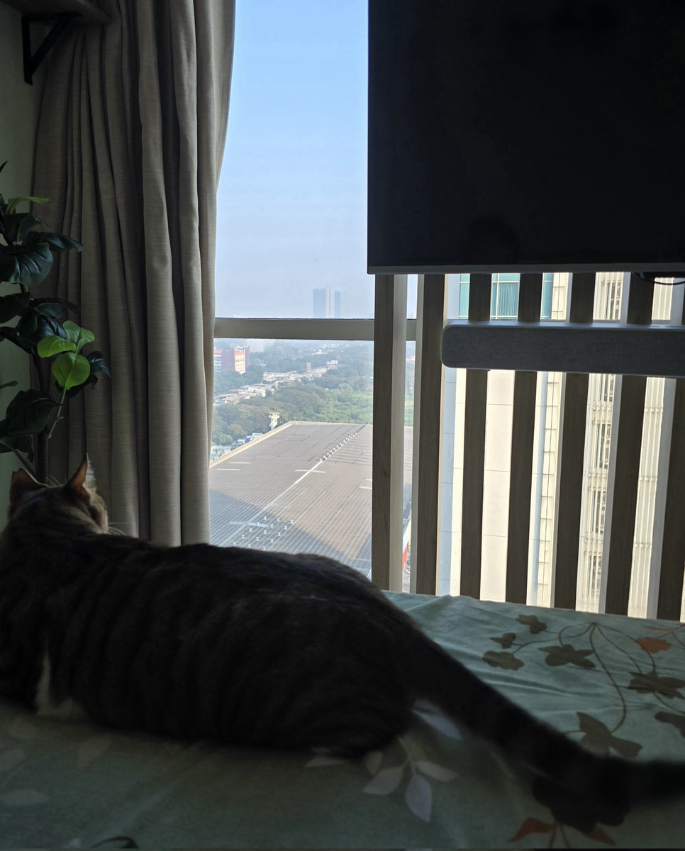 Pagi sayaang
*misalnya