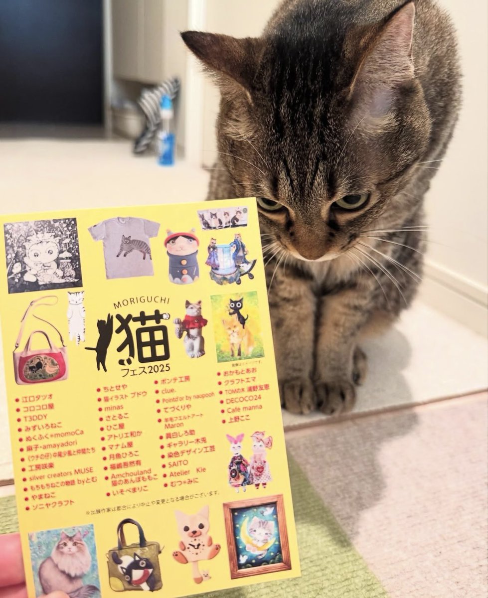 『おばちゃん、久しぶりにイベント行くのか…』
『行かせないじょっ💢』

7/31(木)から開催のMORIGUCHI猫フェス2025に参加します。
全日在廊予定です(^^)
よろしくお願いしますー🙇‍♀️

MORIGUCHI猫フェス2025🐈‍⬛
京阪百貨店 守口店　8階催事場
7月31日(木)〜8月5日(火)
10:00〜19:00(最終日は17時まで)