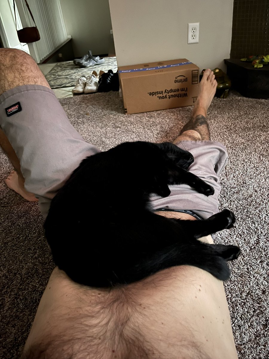 anthracitedub's tweet image. I fed this little dude and now we both here assed out on the floor.
