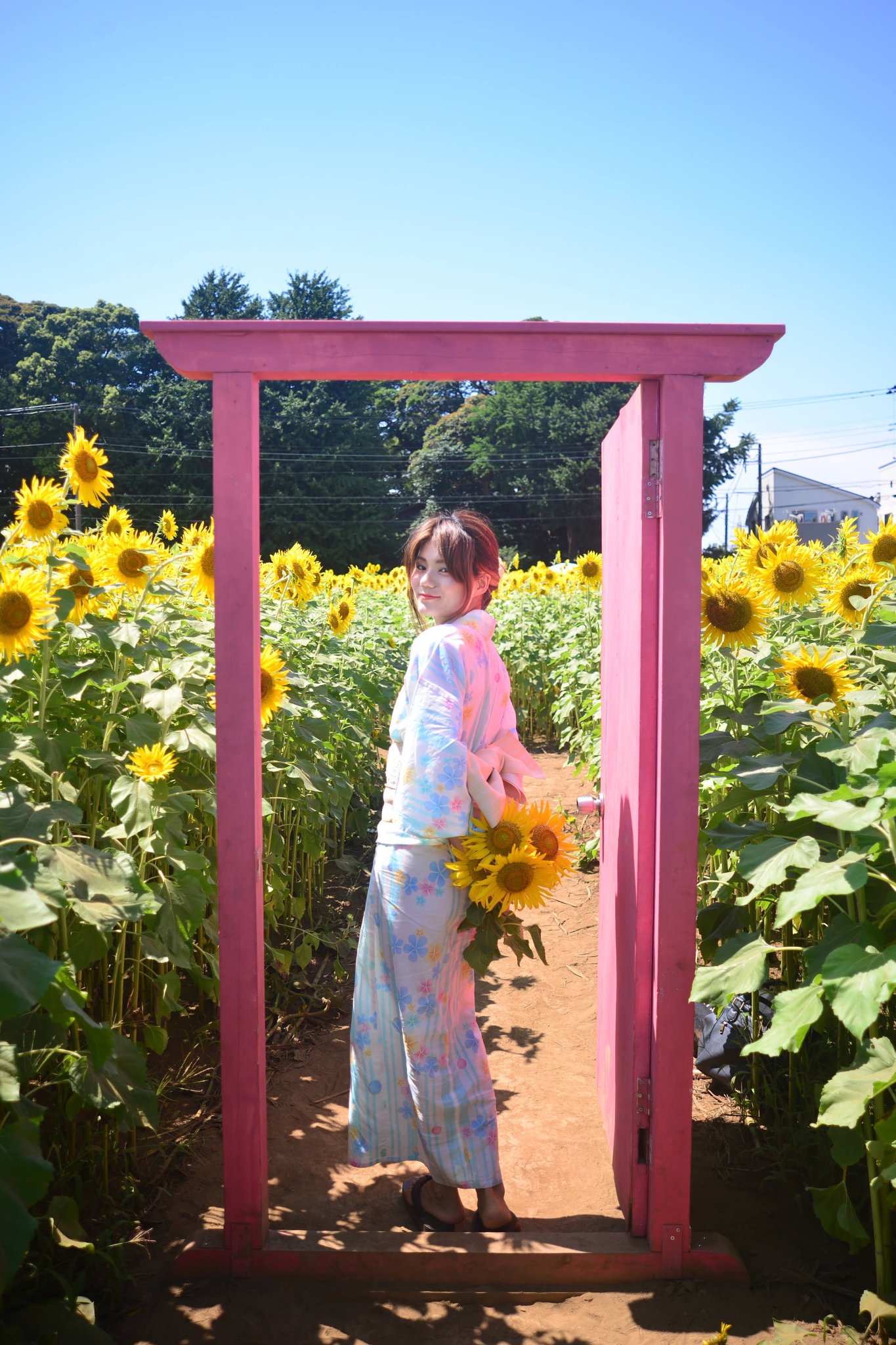 ひまわり様♡ つんつん📸 on X: 