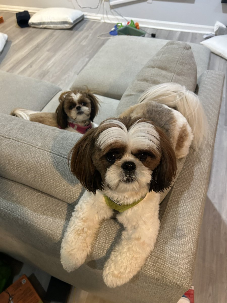 tylerlang44's tweet image. Luigi gets up here when Peaches is annoying him (she doesn’t know how to get up)